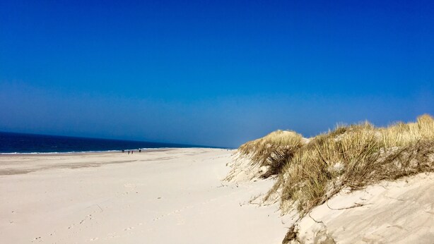 Ein Strand mit weißem Sand und Dünen.