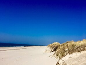 A beach with white sand and dunes. - Cozy and bright duplex apartment in the beautiful Frisian village of Keitum on Sylt ❤️ (Keitum)