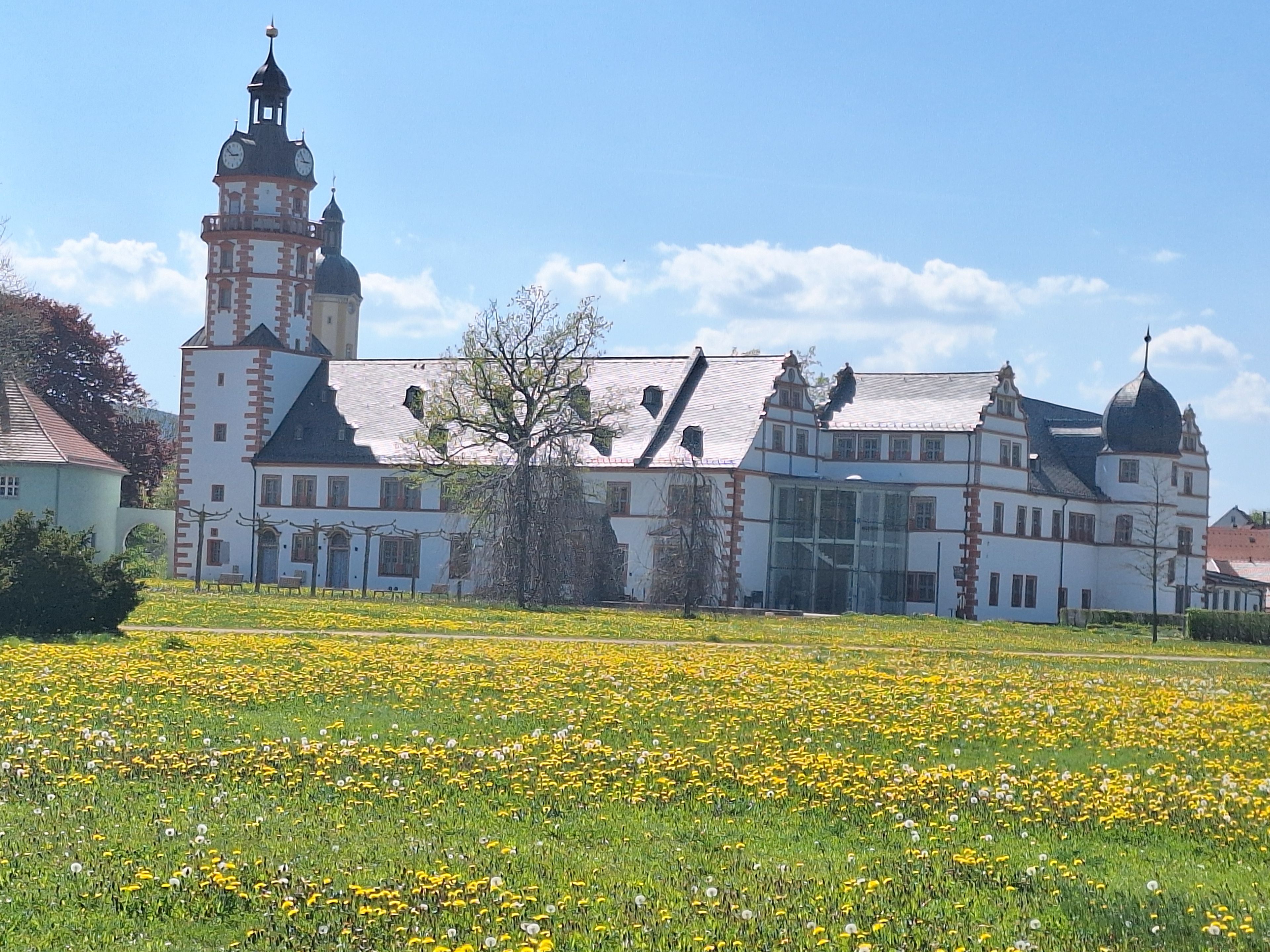 Un edificio histórico con una torre de reloj, rodeado por un campo de flores amarillas.
