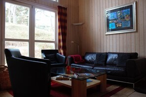 TV, fireplace, DVD player