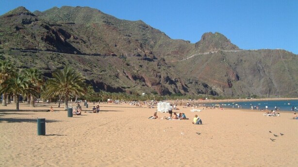 Ein Strand mit Palmen, einem klaren Himmel und Bergen im Hintergrund.