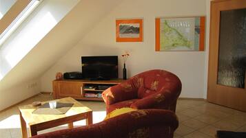 TV, DVD player, books, video library