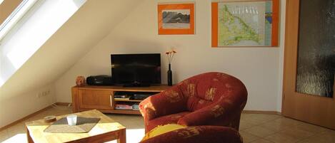 Tv, dvd-spelare, böcker och ett filmbibliotek