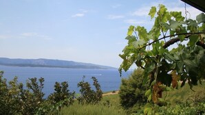 Property grounds - Apartment in Murvica with Seaview, Terrace, Air condition, WIFI (146-3) (Murvica)