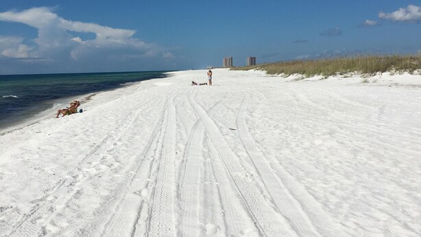 A wide, sandy beach with tire tracks leading towards the ocean. - *** Luxurious Villa at River ***  (Florida)