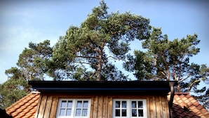 Uklassifisert bilde, 3 av 49, knapp