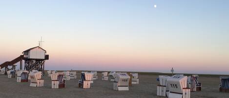 Playa en los alrededores y camastros