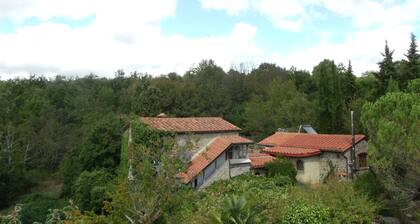 Quiet house in the mountains, central location, ideal for trips