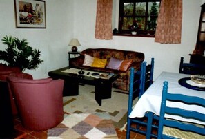 Télévision, cheminée, table de tennis de table, livres