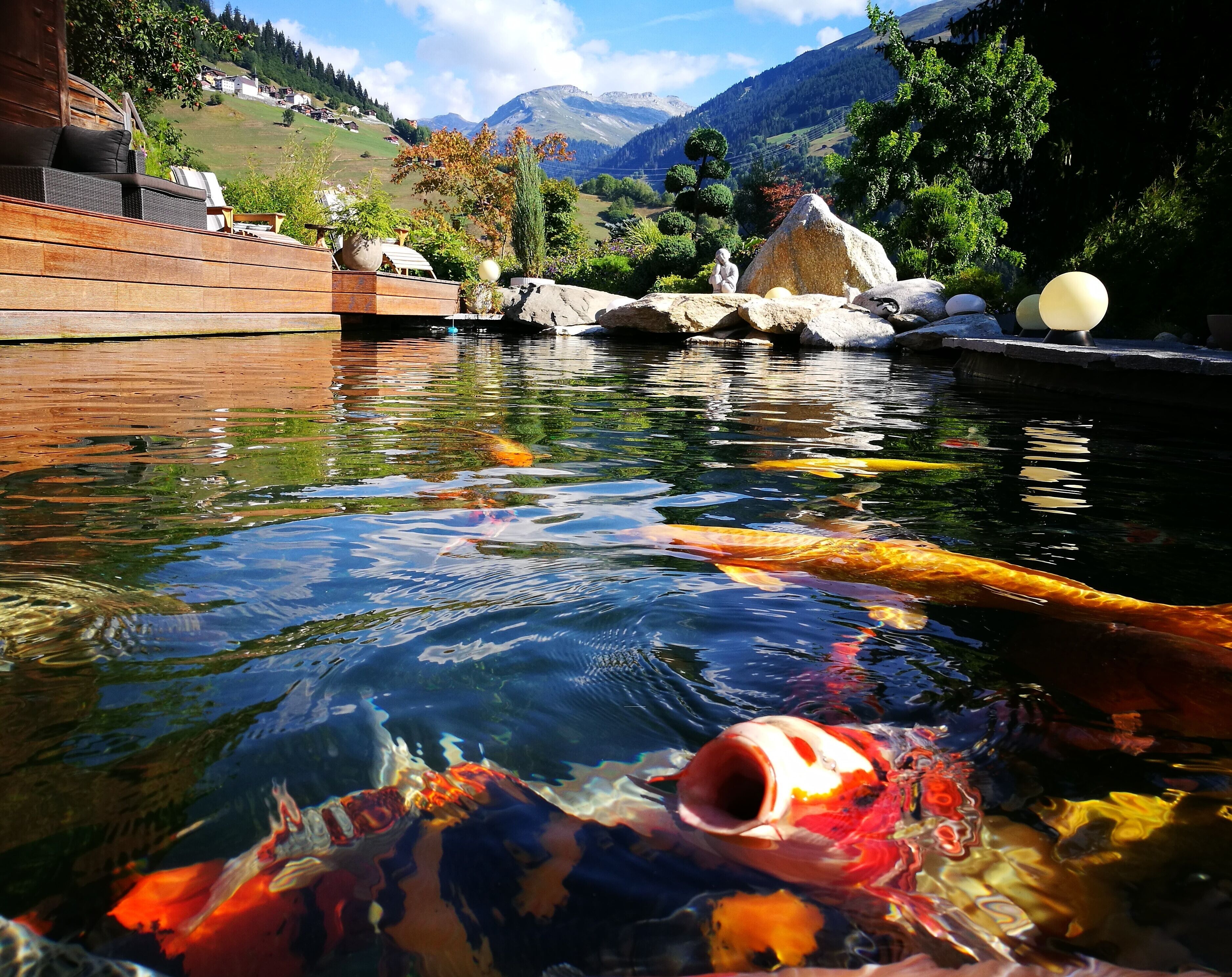 Un bassin à carpes koï, avec des poissons aux couleurs vives, entouré de meubles de jardin en bois et offrant une vue pittoresque sur les montagnes.