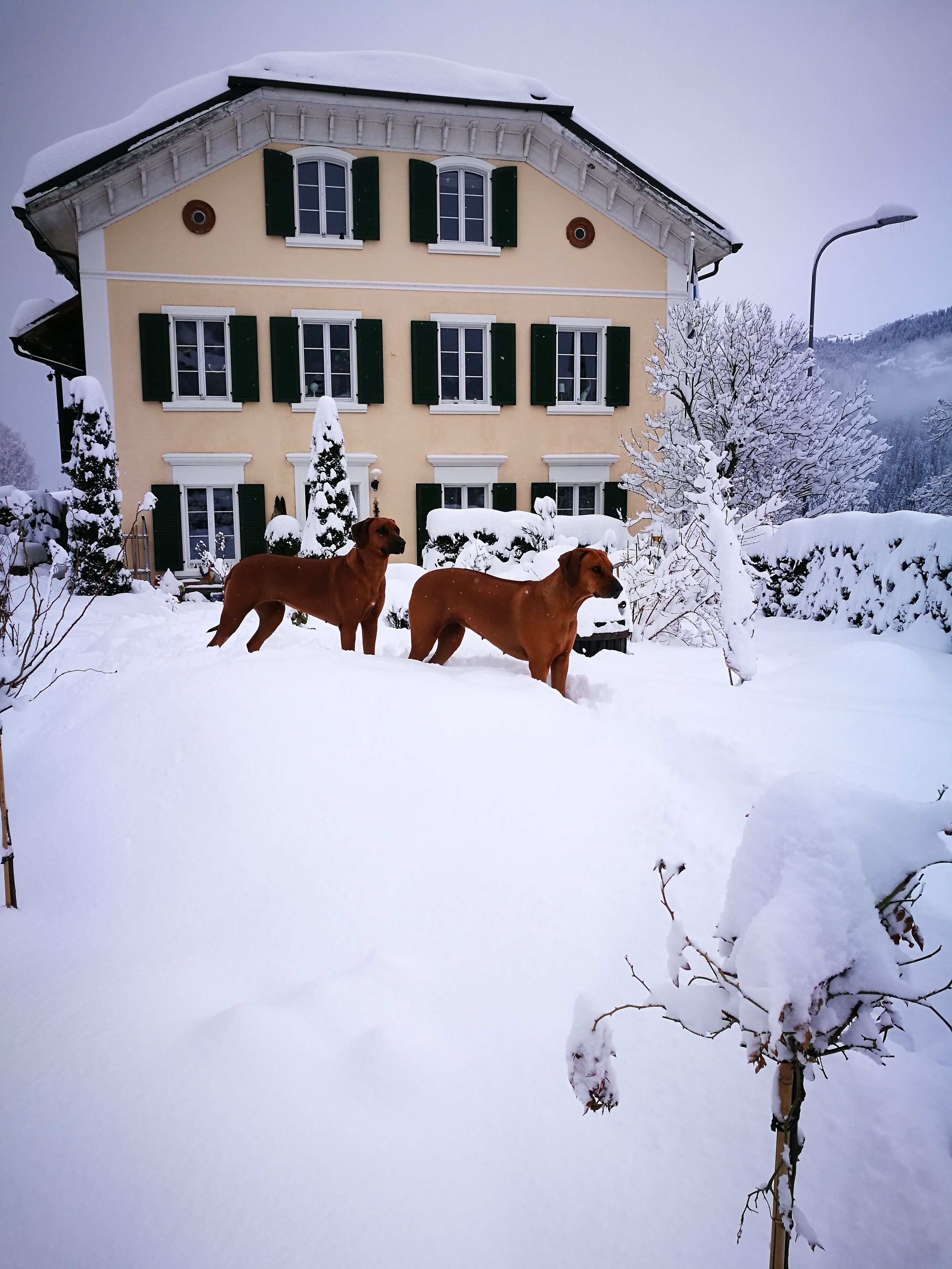 A two-story building with a snow-covered roof and a symmetrical facade.