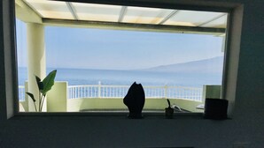 A room with a view of the sea through a window, a white railing, and a plant. - Right on the beach quiet apartment with a large terrace (Radazul)