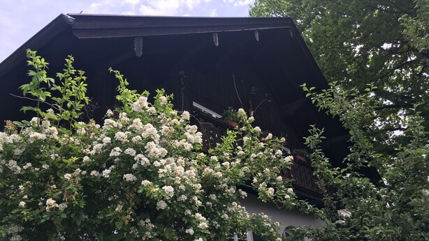 A building with a dark roof and white walls, surrounded by lush greenery and flowering trees. - Apartment with a beautiful mountain view (Garmisch-Partenkirchen)