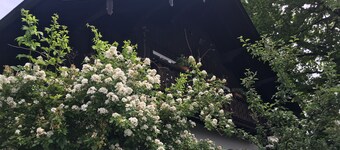 Apartment with a beautiful mountain view