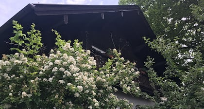 Ferienwohnung mit wunderschönem Bergblick