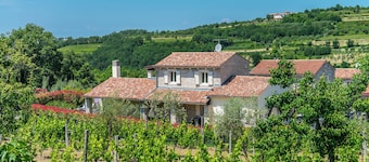 Beautiful villa with swimming pool, grill, wifi, PlayStation 3, free WiFi