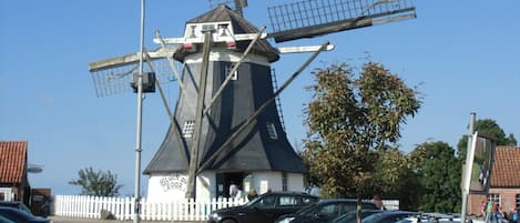 Estacionamiento en las instalaciones, se necesita auto