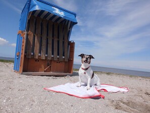 Sun loungers