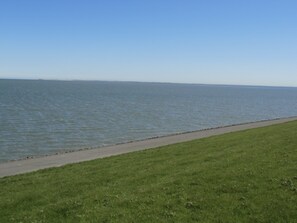 Sun-loungers - Apartment Heimathafen in Werdum near Neuharlingersiel (Werdum)
