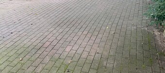 Chambre double et chambre simple - Lange, Bernhard, Appartement B. long