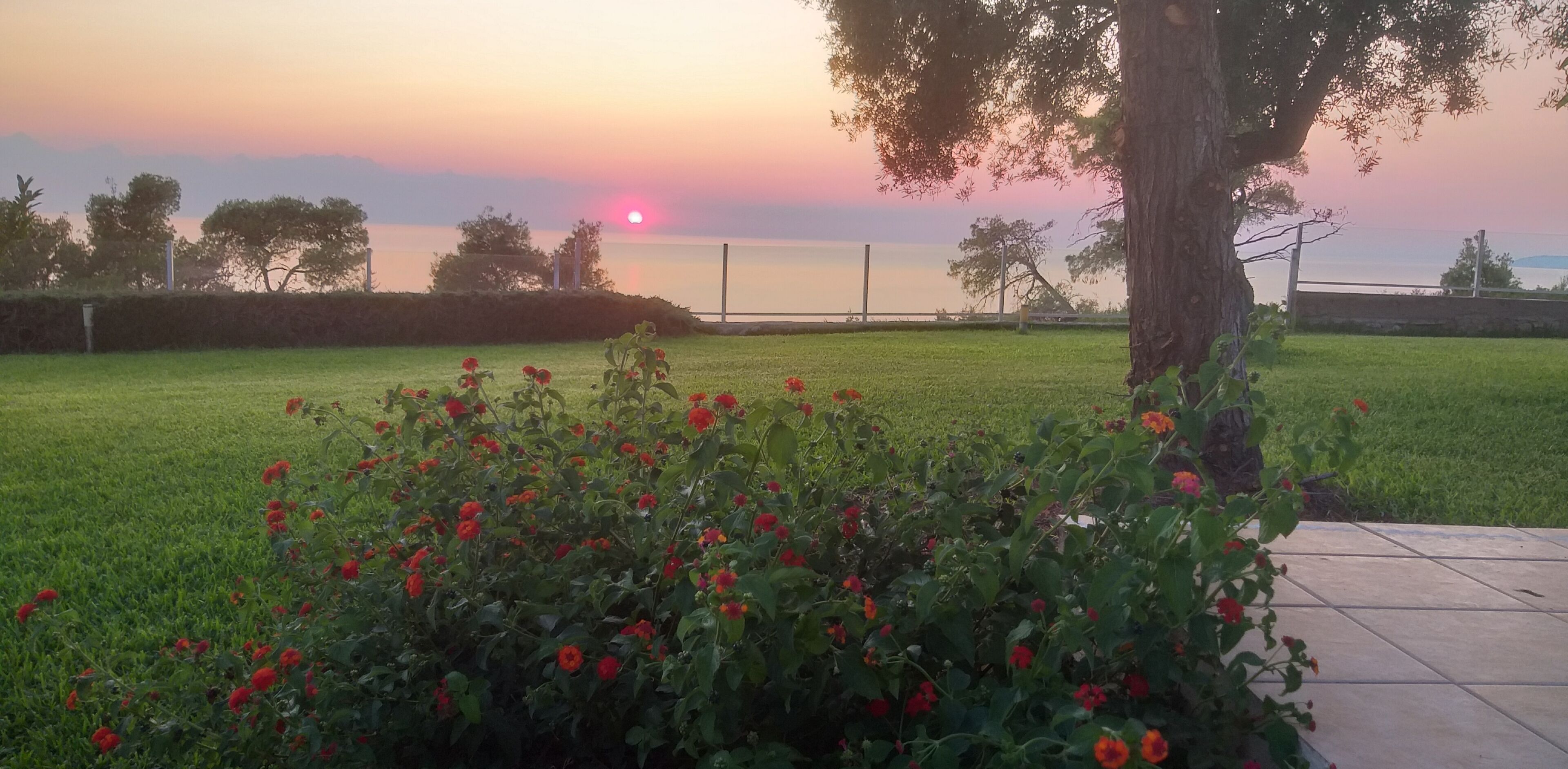 Enceinte de l  ’hébergement