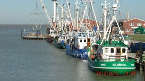 A row of fishing boats docked at a pier with a building in the background. - Cozy apartment - incl. Beach chair Apr-Sep, small and quiet residential complex (Dornumersiel)