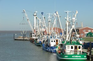 A row of fishing boats docked at a pier with a building in the background.
