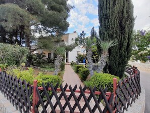 A pathway leading to a building surrounded by various trees and plants.