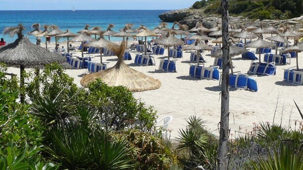 Une plage avec des parasols en chaume et des chaises longues bleues.