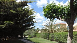 Un sentier traverse un jardin bien entretenu, agrémenté de divers arbres et arbustes, et mène à un bâtiment doté d’un toit en tuiles et de volets bleus.