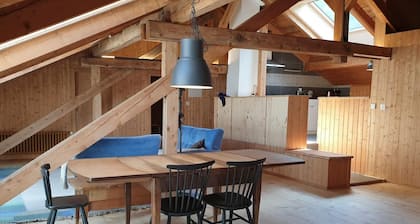 Huoneisto Bergün / Bravuogn 5 - 6 hengelle, 2 makuuhuonetta - Huoneisto maalaistalossa