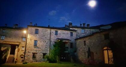 Appartamentino Rustico in Villa Maindi with garden use and free WiFi