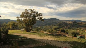 A garden with a stone pathway, a large tree, and a view of rolling hills in the distance. - Appartamentino Rustico in Villa Maindi with garden use and free WiFi (Pennabilli)