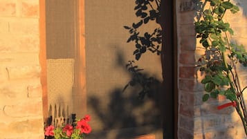 Detalle exterior