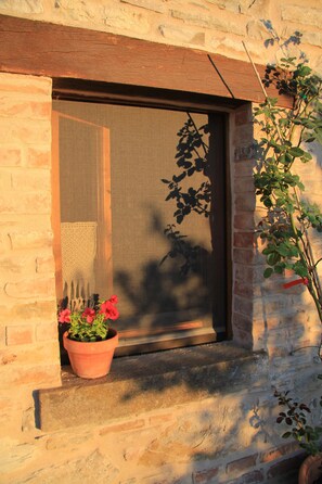 Detall de l'exterior
