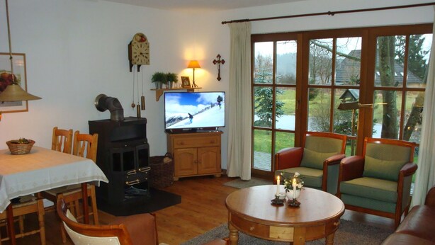 A cozy living room with a fireplace, television, and comfortable seating. - Luxury holiday home, 100 meters from forest, swimming pool nearby, 4 km from Edersee (Frankenau)