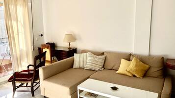 Smart TV, DVD player, books, music library