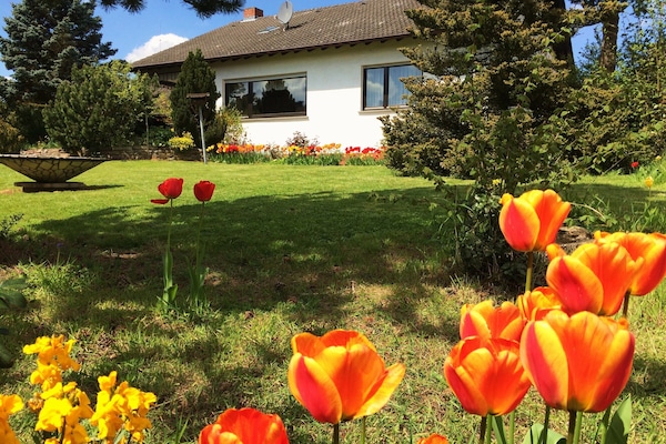Ferienhaus Daxweiler begrĂŒĂt seine GĂ€ste!