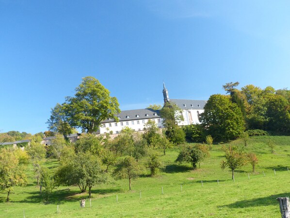 A large white building with a tower, surrounded by trees and a grassy field. - Heidelberg in the Countryside – Valley Views, Königstuhl, Good Transportation Links & Parking (Heidelberg)