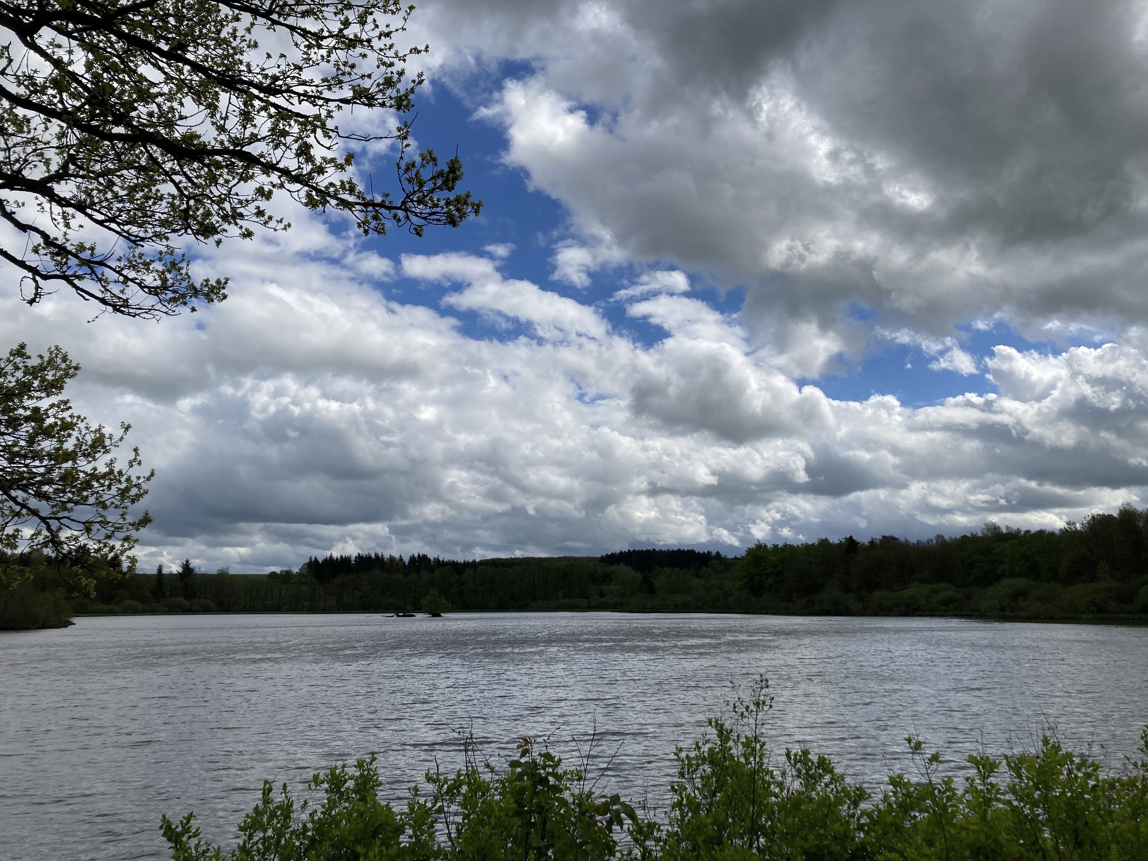 Un lac bordé d’une forêt et surplombé d’un ciel nuageux.