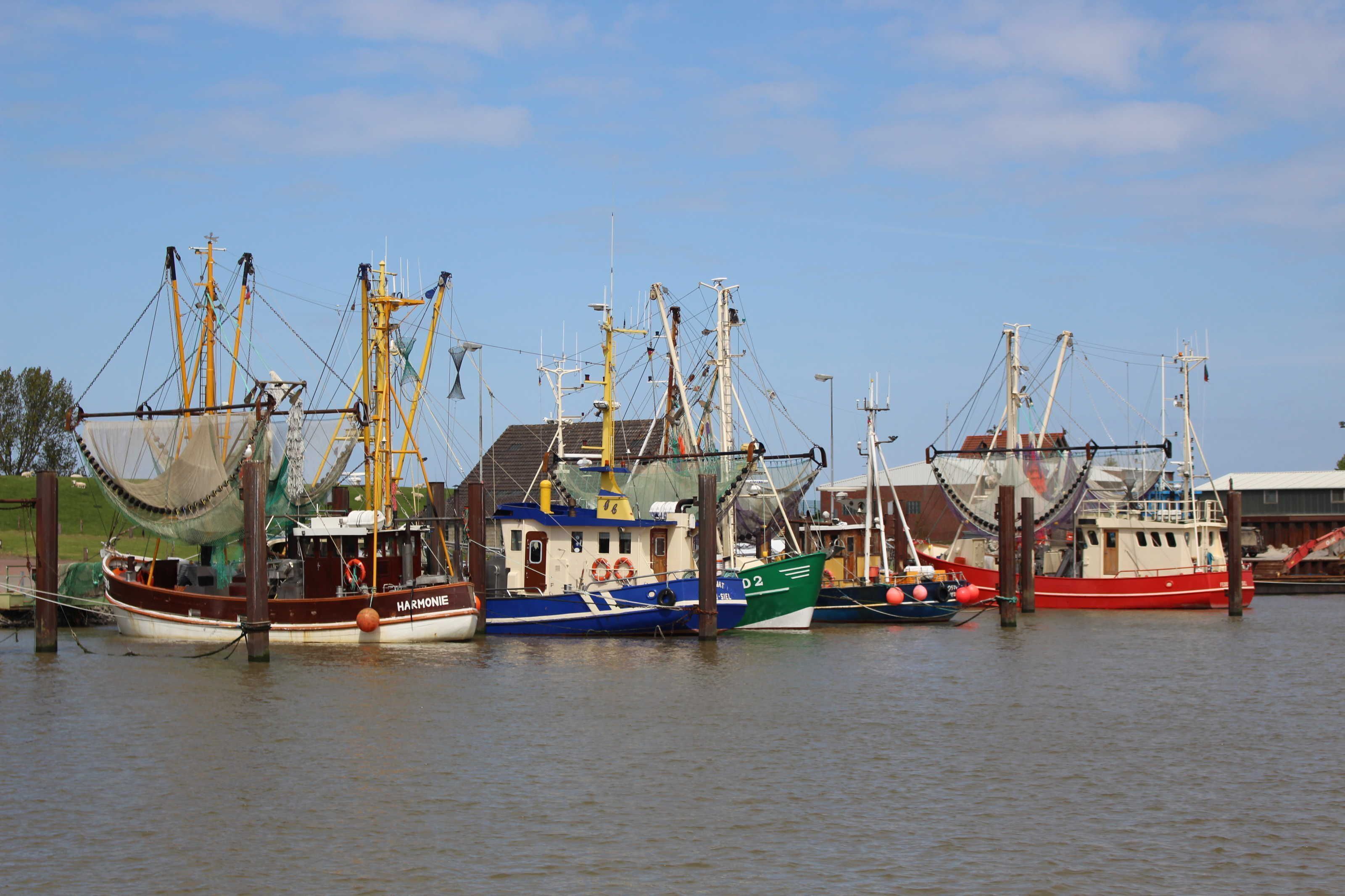 Eine Reihe von Fischerbooten liegt im Hafen, mit Masten und Netzen.