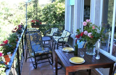 Villa with a stunning view of the Mediterranean Sea & sea alps, pets welcome.