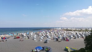 A beach with numerous beach chairs and umbrellas, a clear sky, and a view of the sea.