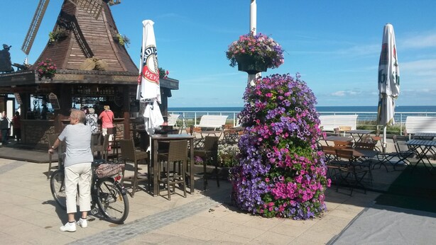 A seaside restaurant with outdoor seating, a bicycle, and a flower arrangement.