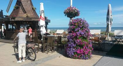 Valoisa, modernisti kalustettu huoneisto merinäköalalla, 100 m rannalta