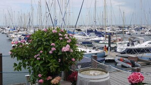 A marina filled with sailboats, surrounded by a fence and greenery.