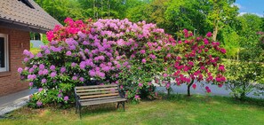 A bench in front of a building with a brick facade and a garden with blooming rhododendrons.