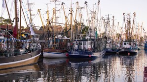 Un puerto deportivo con varias embarcaciones amarradas, incluyendo un barco amarillo y blanco destacado llamado "St. Christophorus".