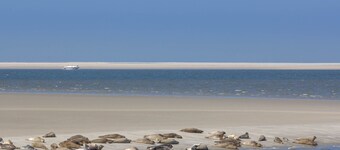 Vacation home with large fenced plot directly on the canal