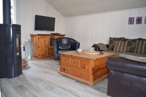 TV, fireplace, DVD player, books